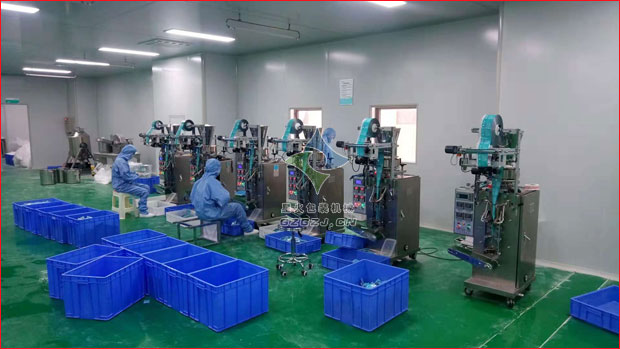 小袋清洗鹽包裝機(jī),袋裝藥粉包裝機(jī)